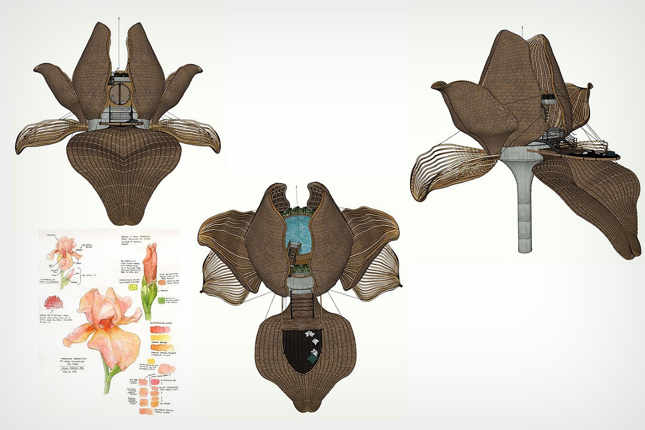 Orchid building，Creative design，villa，