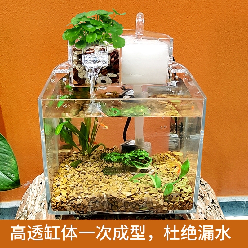 originality，Desktop fish tank，Water cycle，No water change，