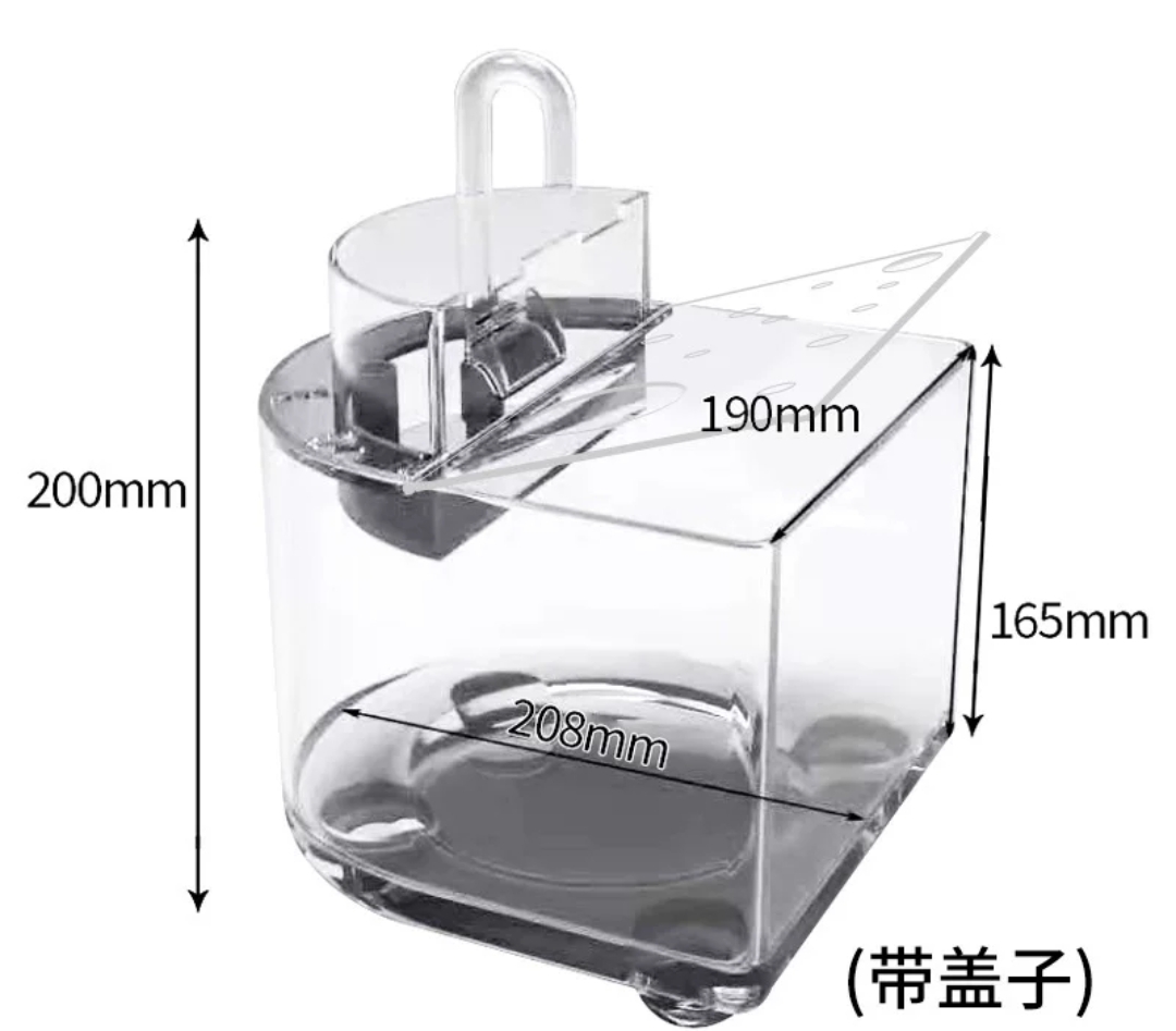 originality，Desktop fish tank，Water cycle，No water change，