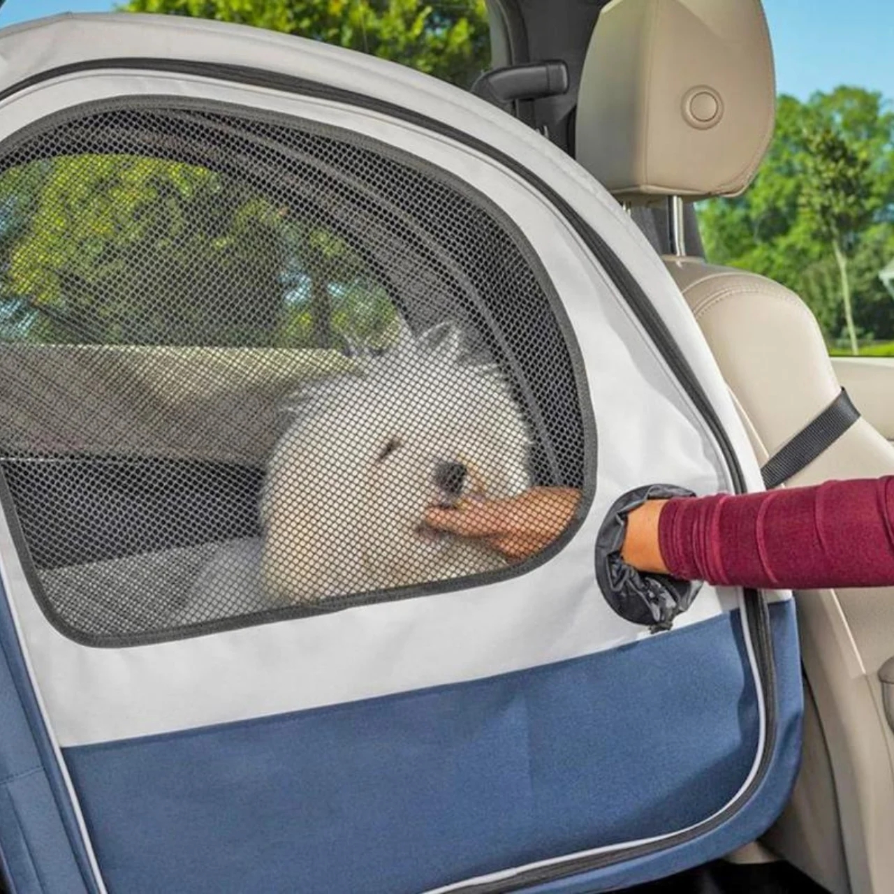 Dog box，Pets，Pet Supplies & Pet，product design，Design，