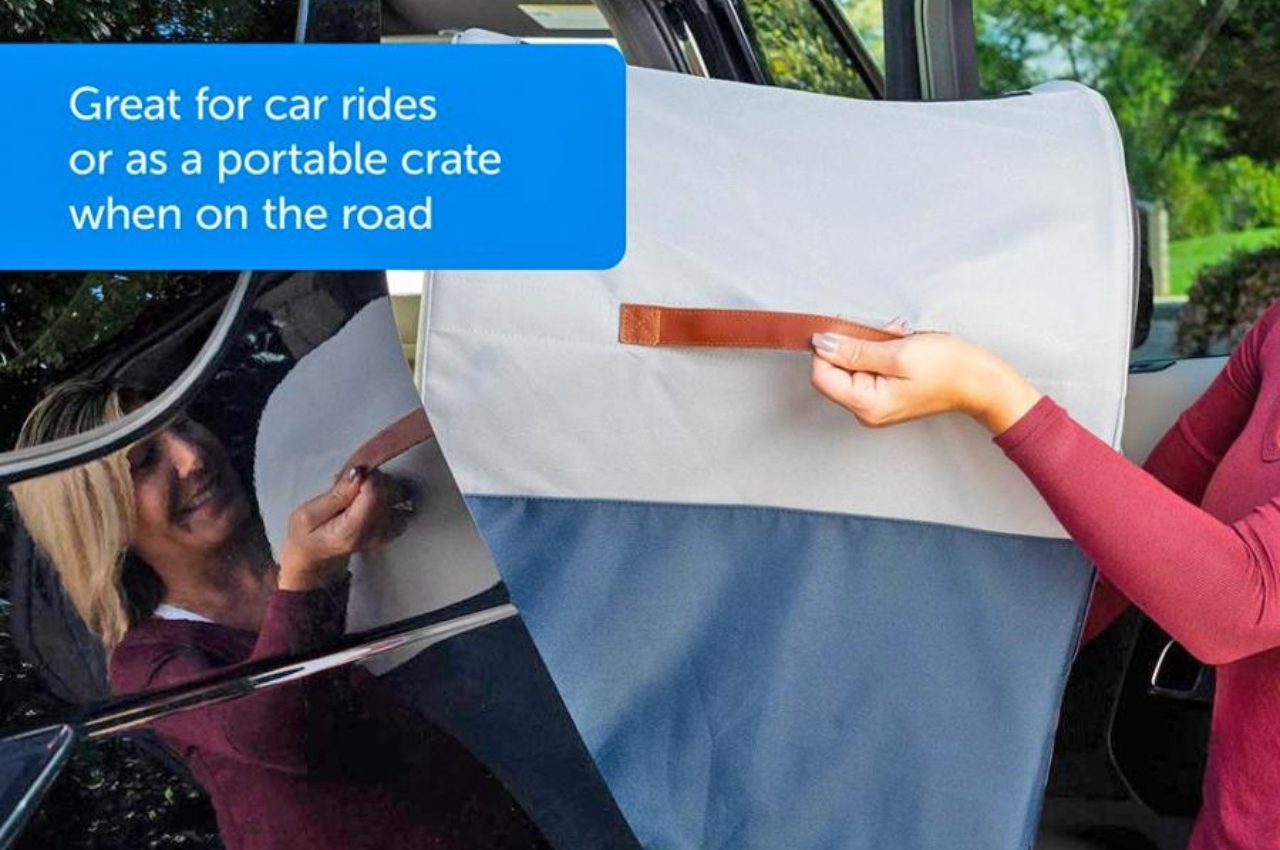 Dog box，Pets，Pet Supplies & Pet，product design，Design，