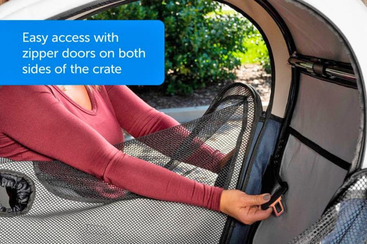 Dog box，Pets，Pet Supplies & Pet，product design，Design，