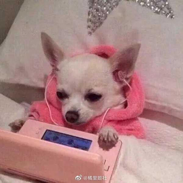 Consumer electronics，household electrical appliances，