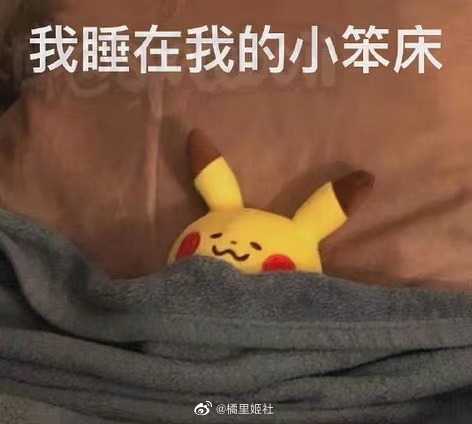 Smart home，Internet of things，Intelligent security，Biometrics，