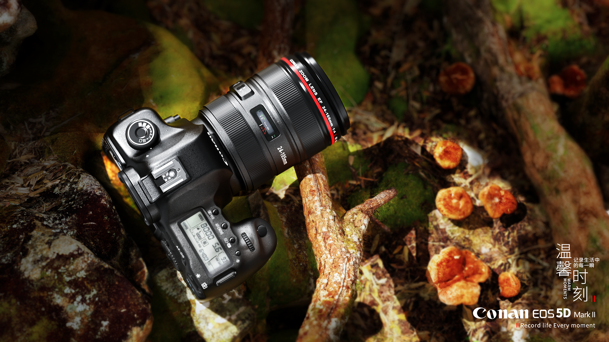 Camera rendering，3C products，Canon camera，Product rendering，