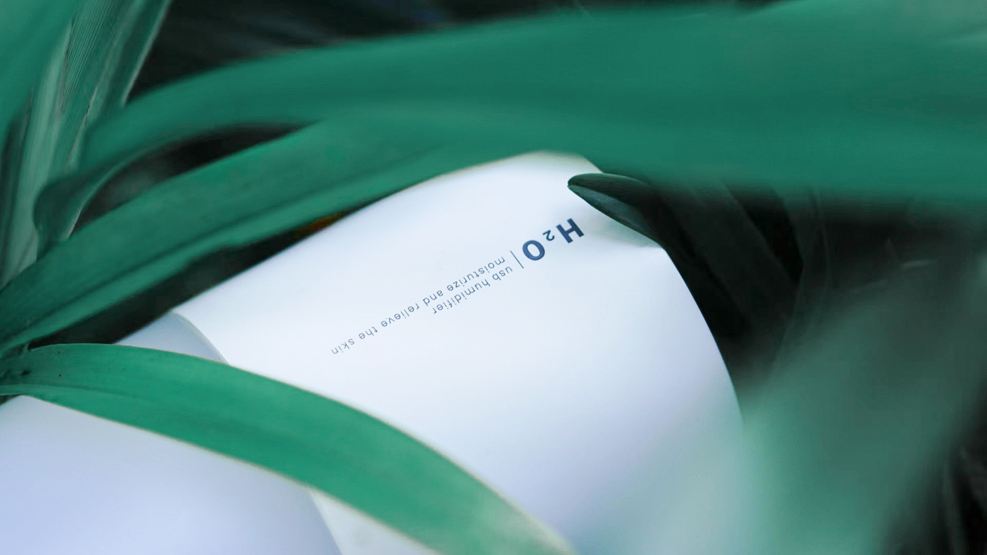 Humidifier，Photography，Green planting scene，shot，