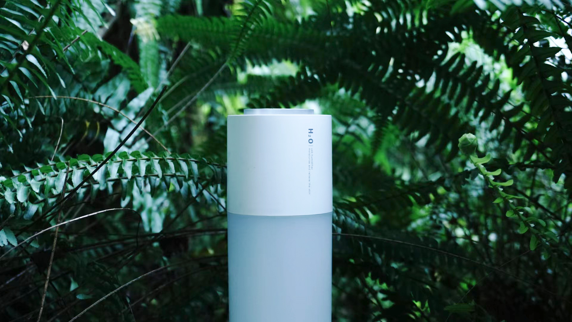 Humidifier，Photography，Green planting scene，shot，