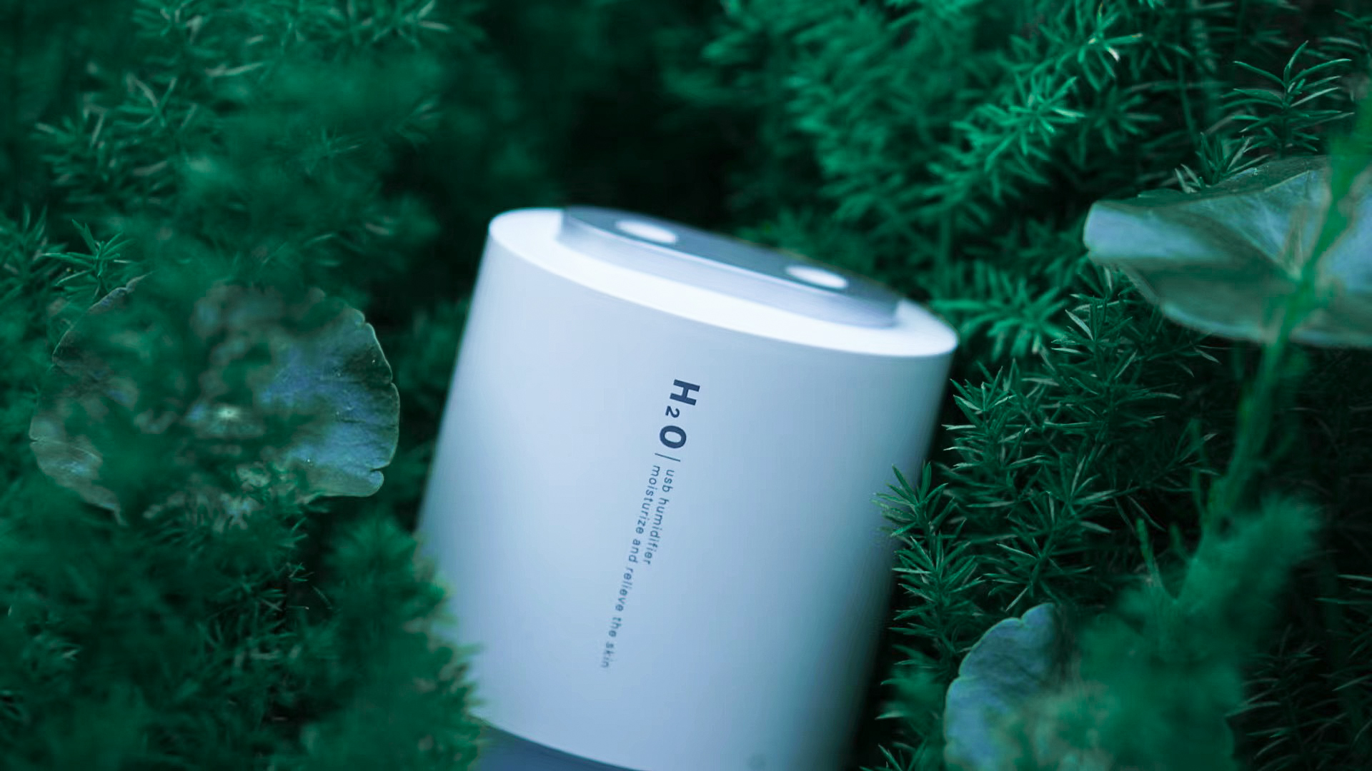 Humidifier，Photography，Green planting scene，shot，