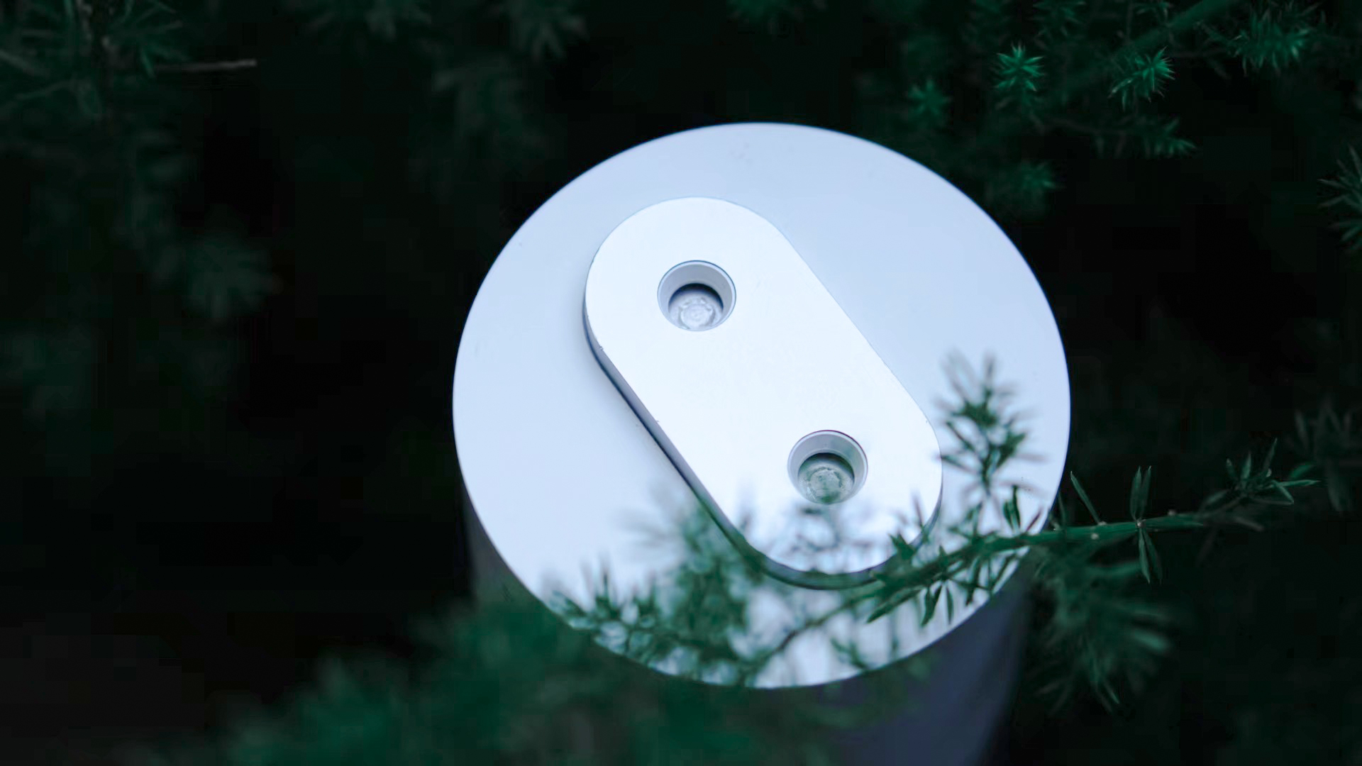 Humidifier，Photography，Green planting scene，shot，