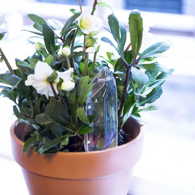 Functional innovation，