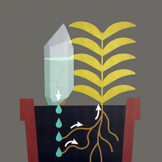 Functional innovation，