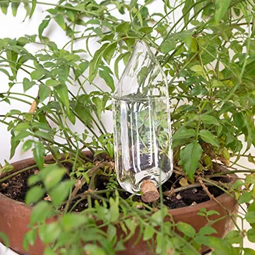 Functional innovation，