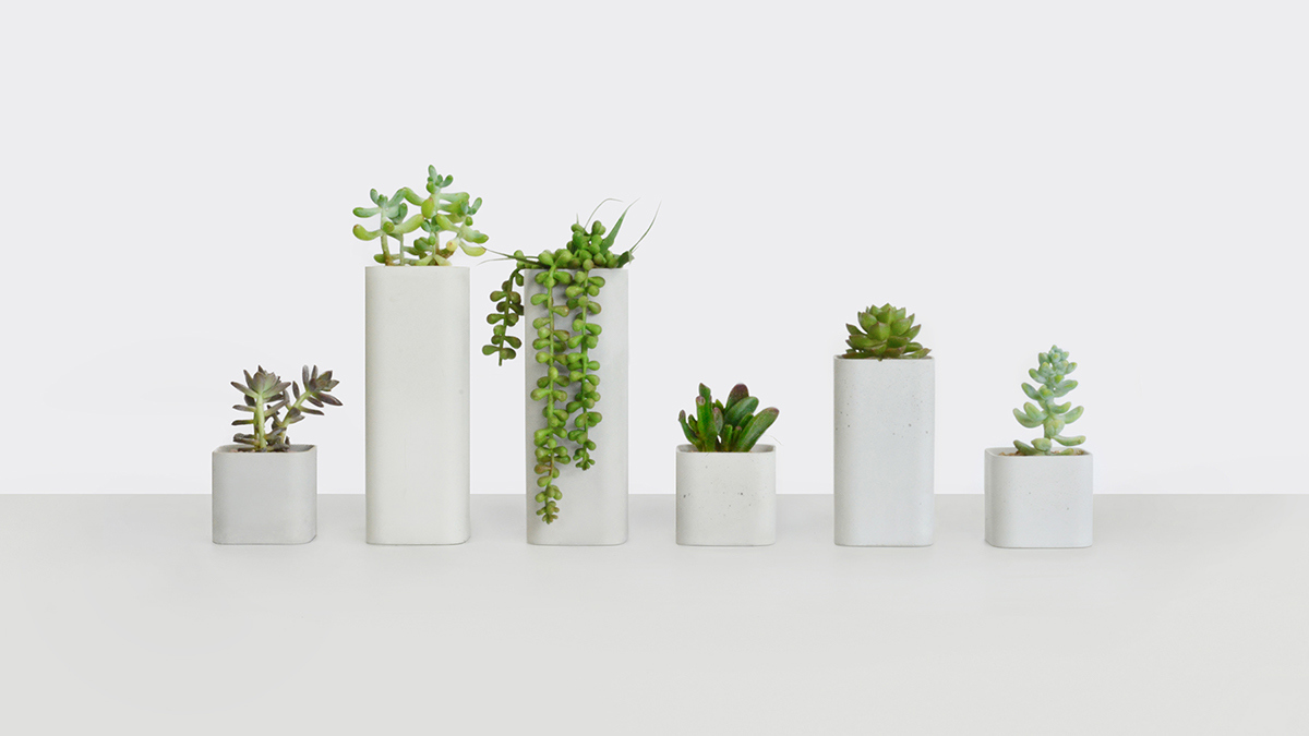 Home Furnishing，furniture，Ornaments，Soft outfit，Botany，cement，Flowerpot，