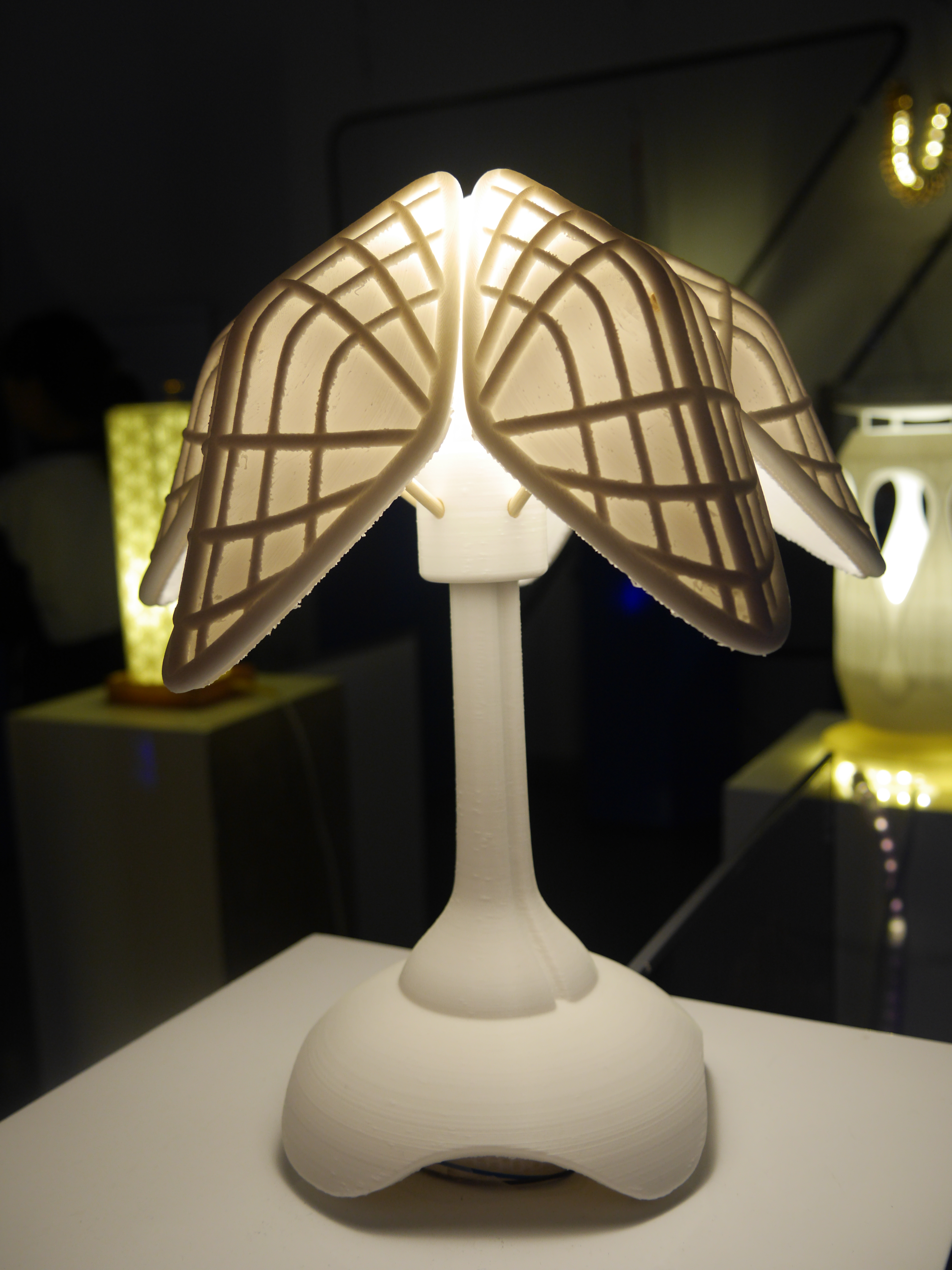 Lamp design，Lamp modeling，Lamp exhibition，Lamps course，Print lamp，