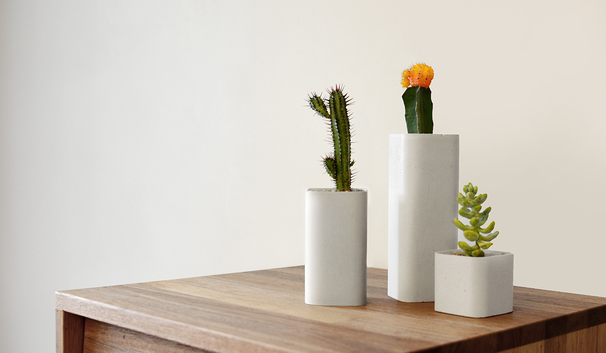 Home Furnishing，furniture，Ornaments，Soft outfit，Botany，cement，Flowerpot，