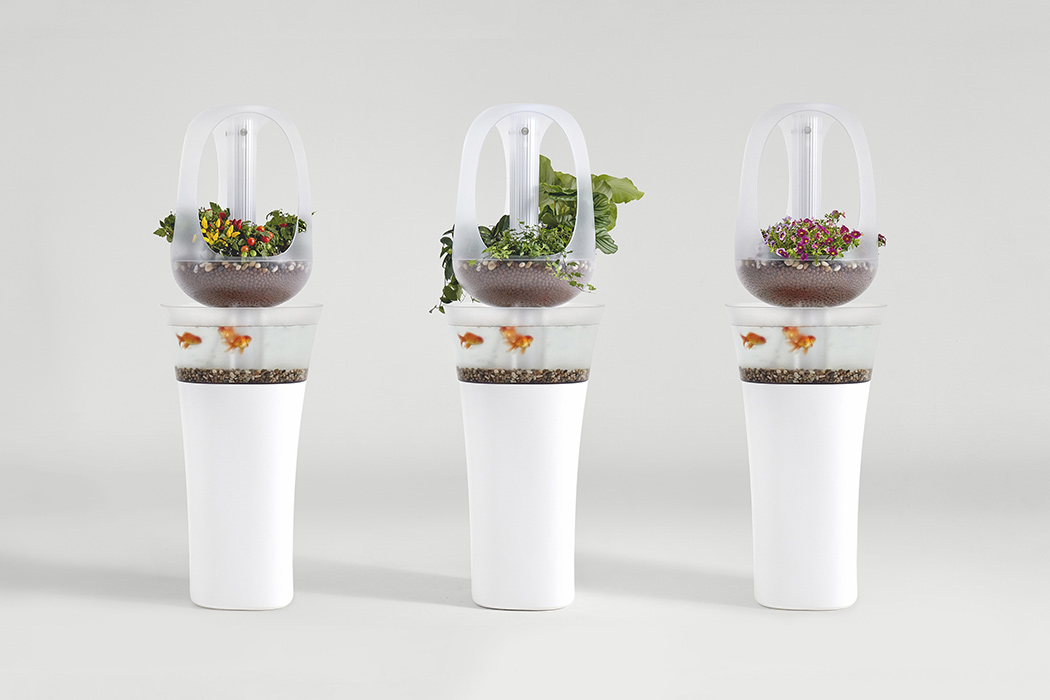 Flowerpot，Aquarium，multi-function，