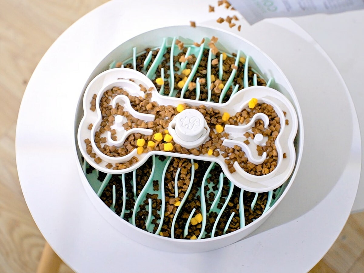 feed，Eat slowly，aid digestion，