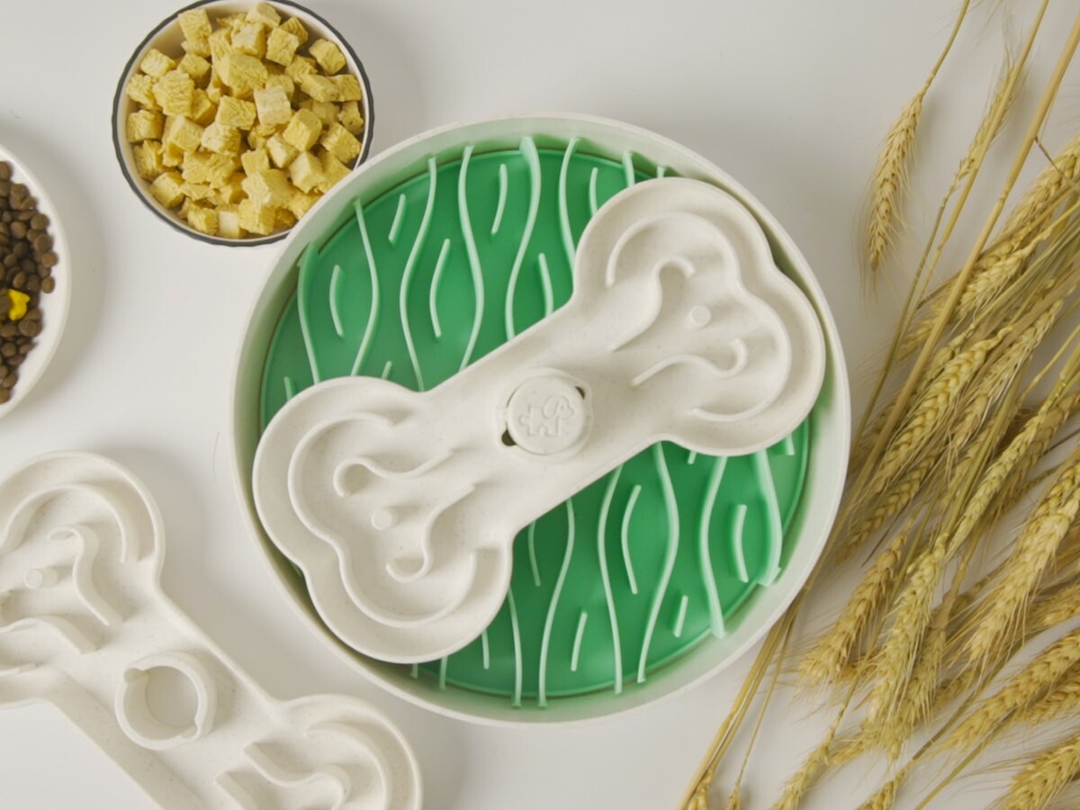 feed，Eat slowly，aid digestion，