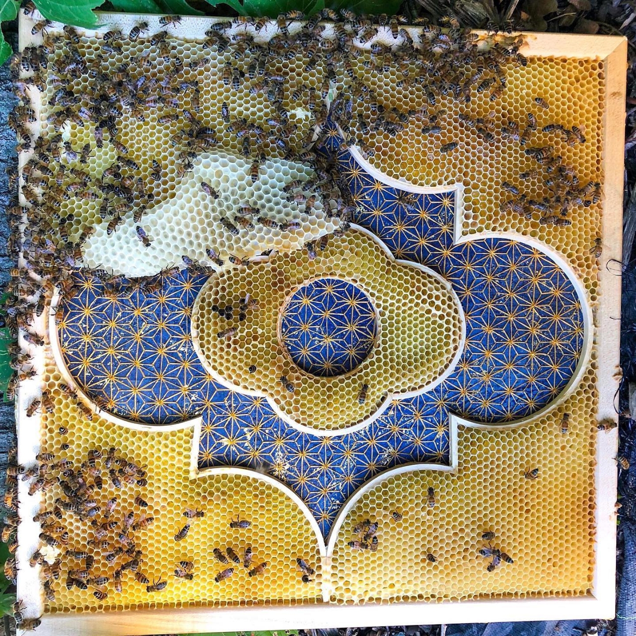 originality，Home furnishings，Artwork，hive，