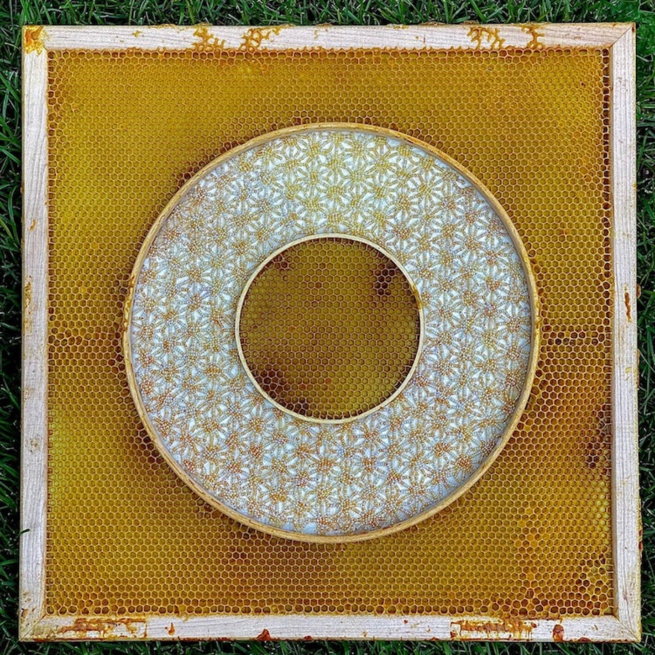 originality，Home furnishings，Artwork，hive，