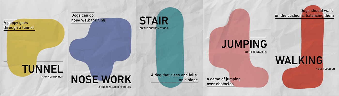 product design，Pets，Appearance design，Dog playground，