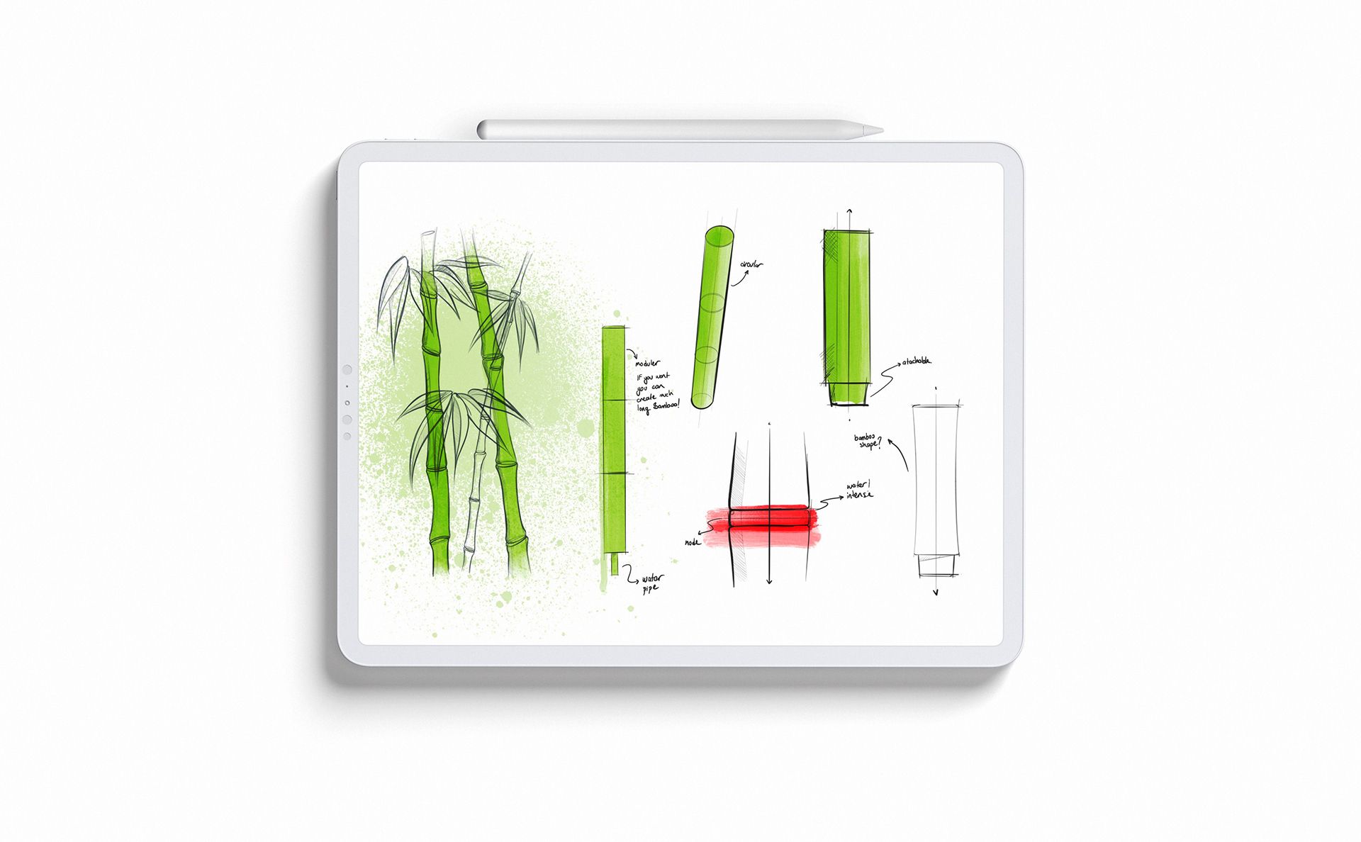 irrigation，Botany，Bamboo，