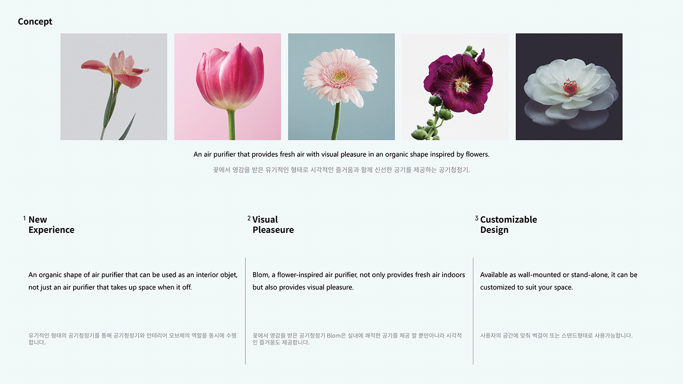 Blom，visual effect，clean air ，purifier，