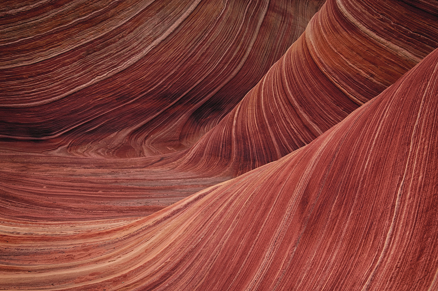 glass，modularization，Creative design，