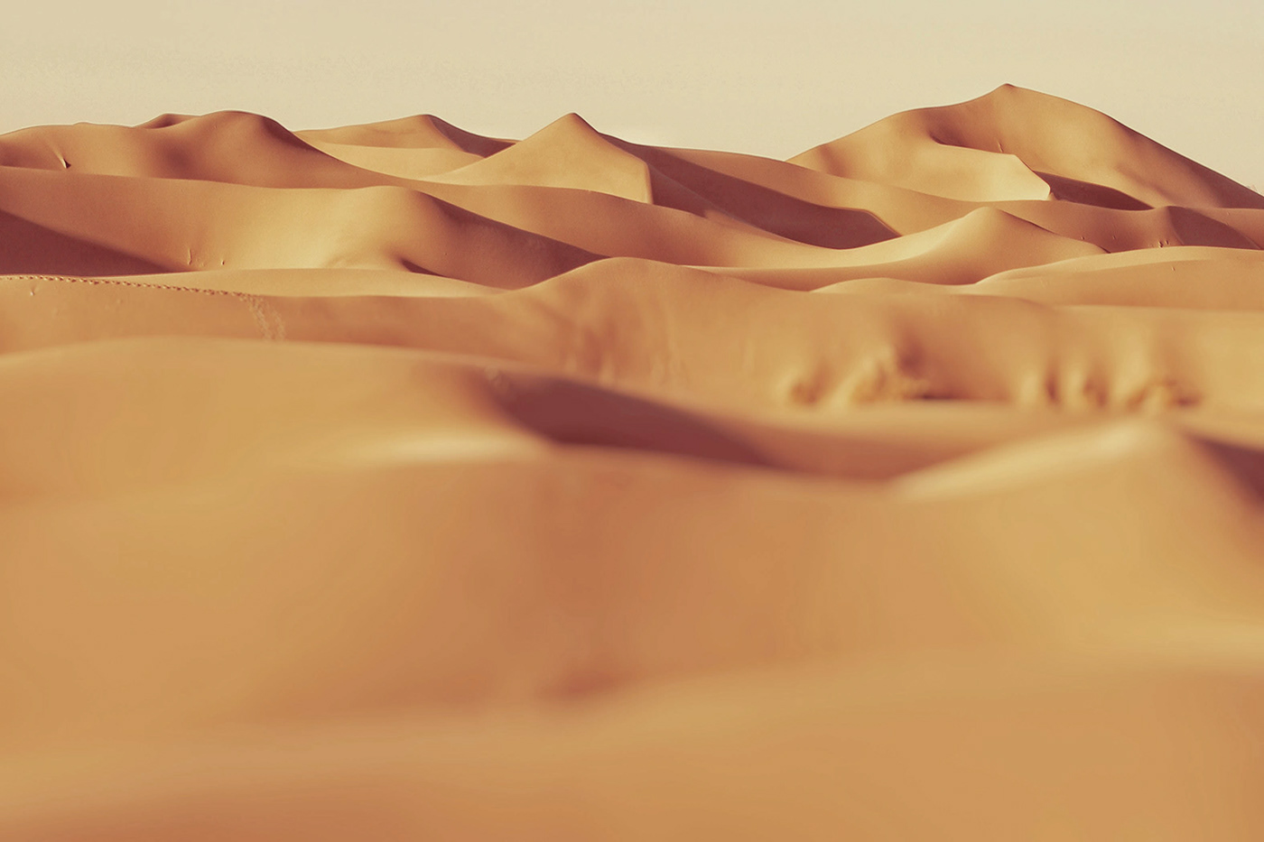 glass，modularization，Creative design，