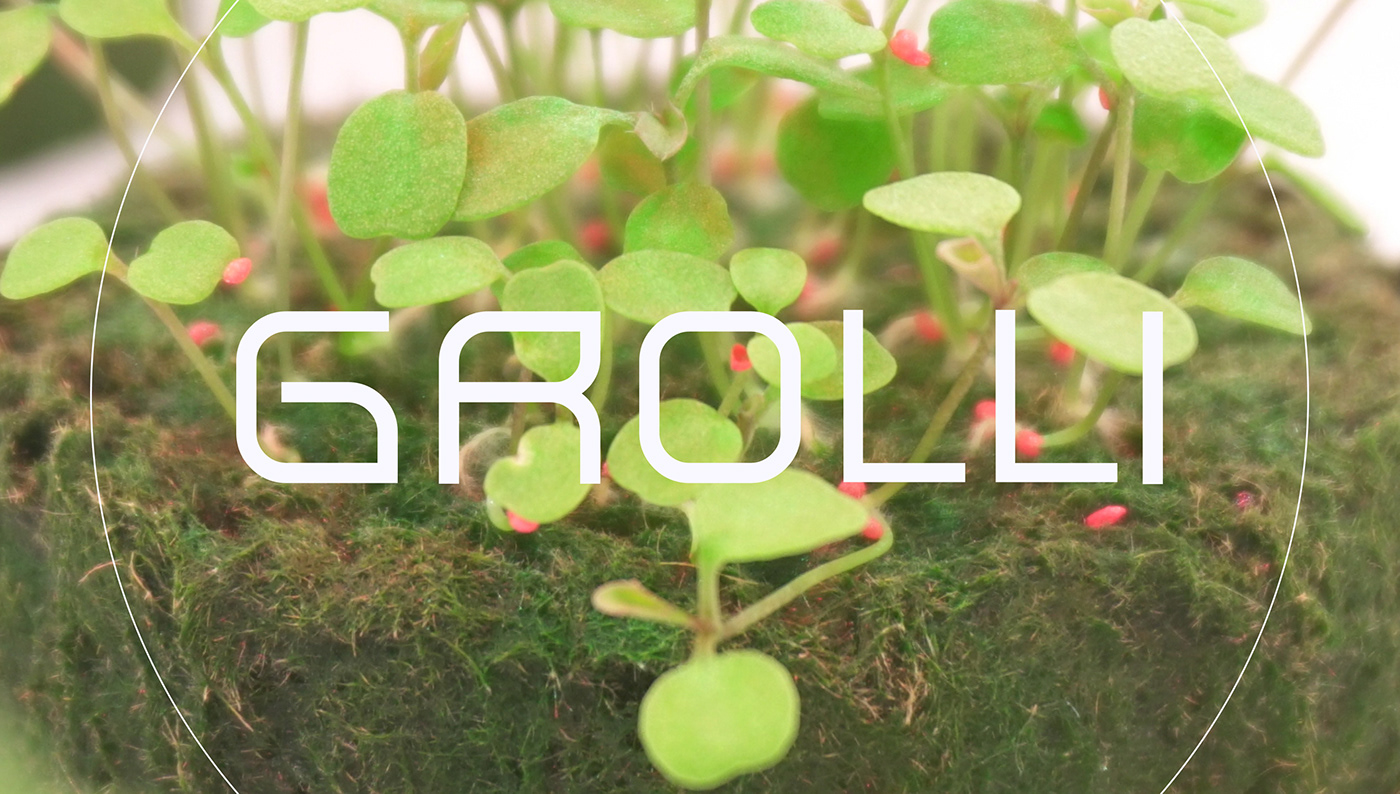 Smirnov Design，Grolli，Farm ecosystem，farm ecosystem，