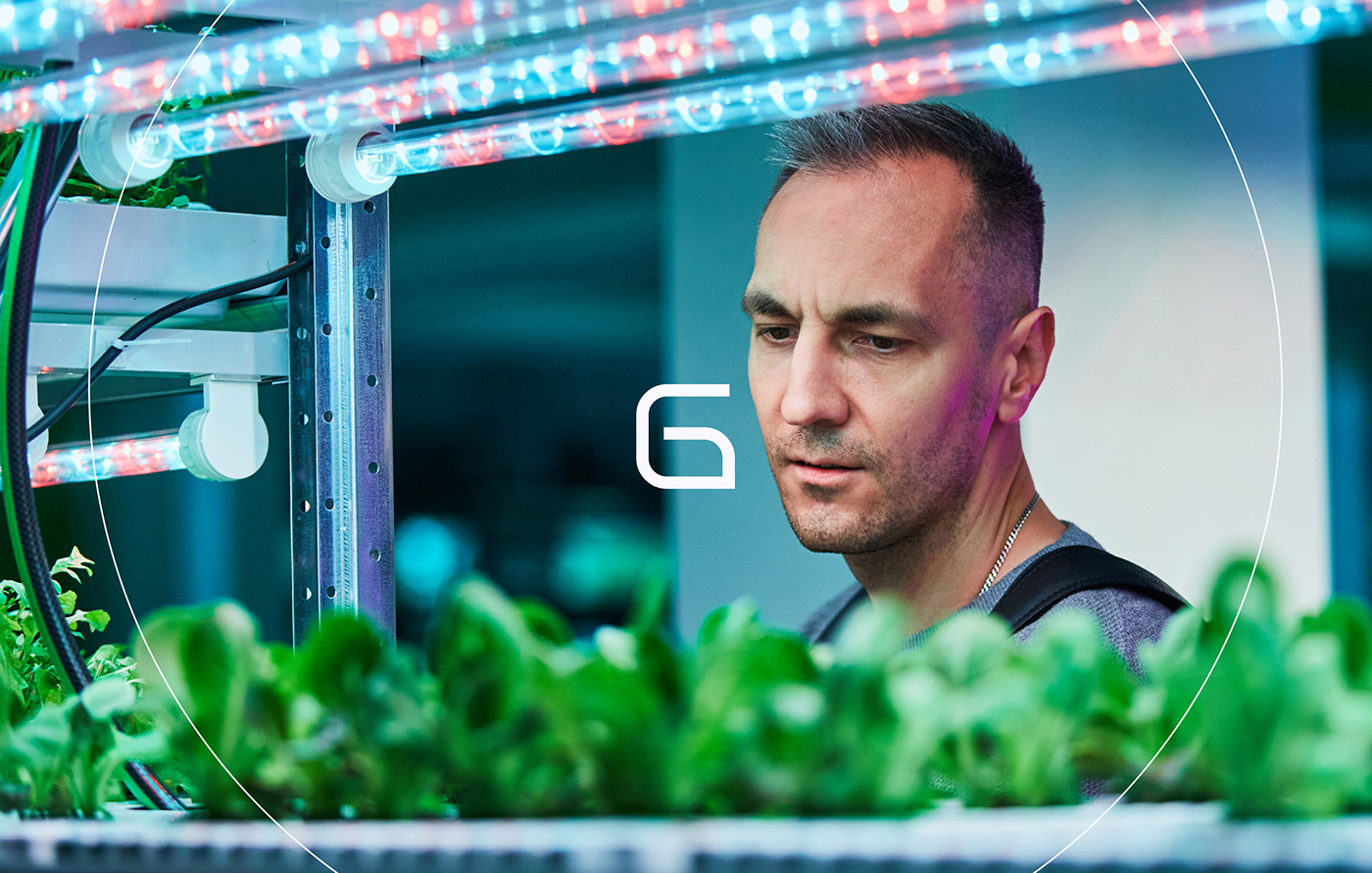 Smirnov Design，Grolli，Farm ecosystem，farm ecosystem，