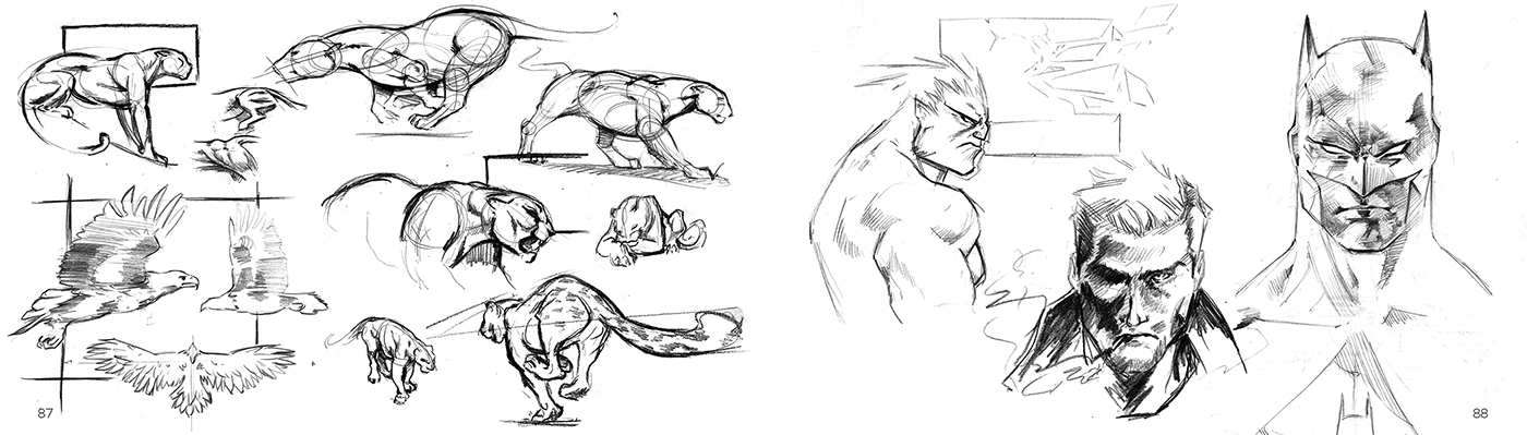 skill，ps，Ubee ，painting，Hand drawn，