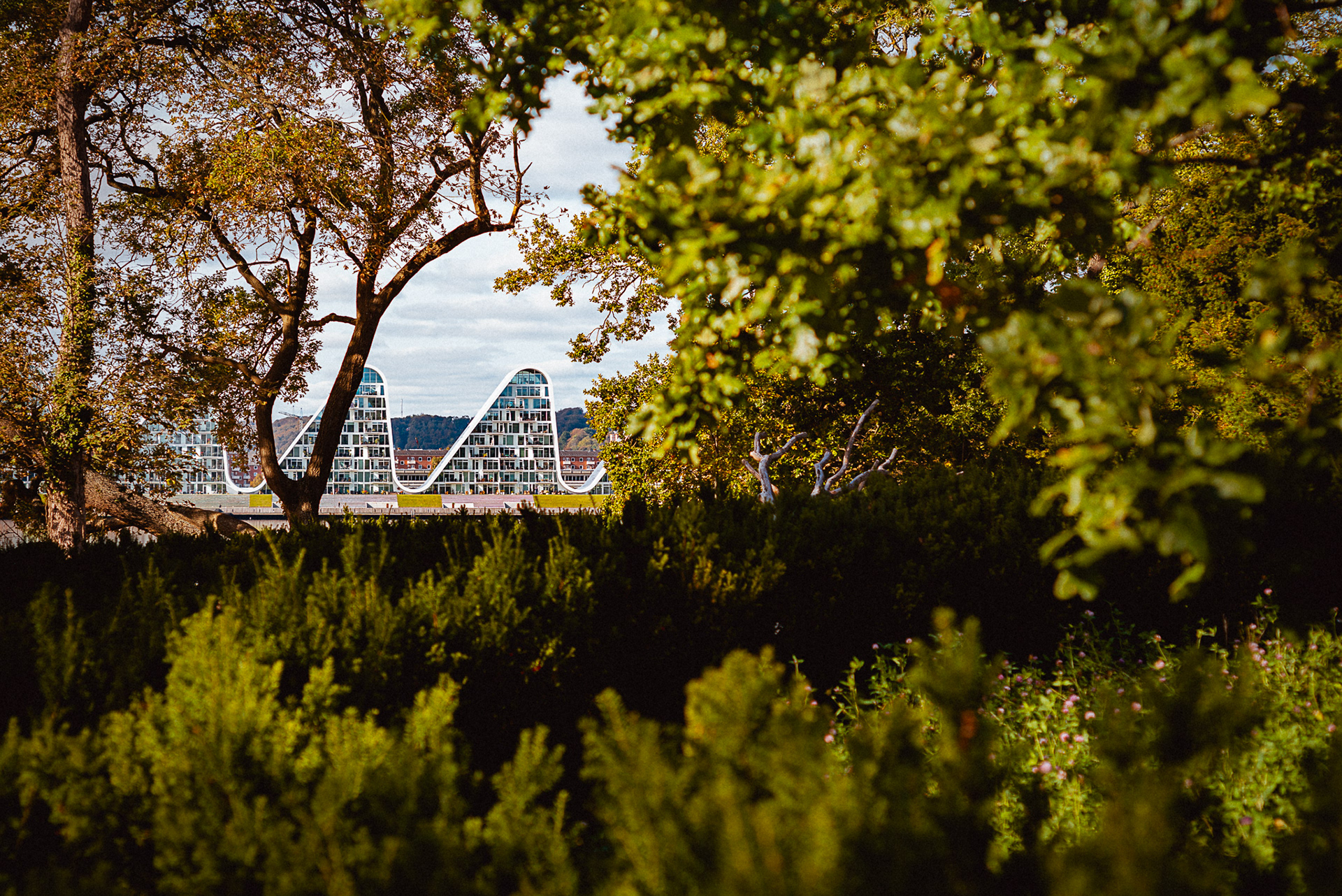 DYNAMIC FORMS，Architectural design，Bølgen，LEAF award，Civic Trust Award，