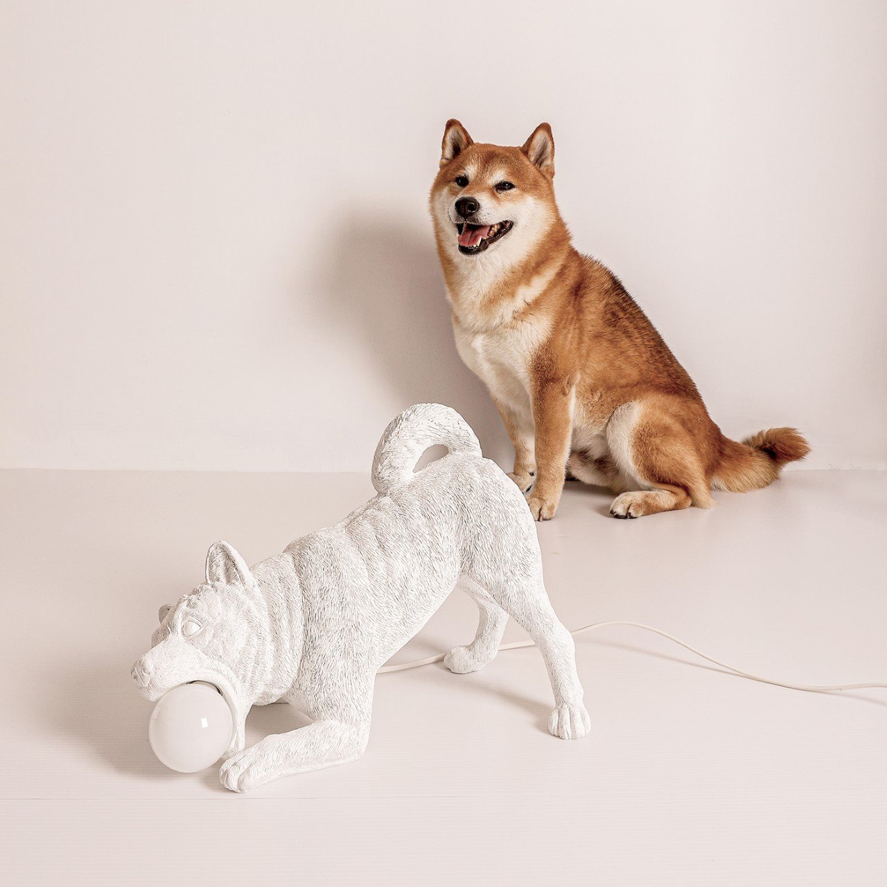 Practical design，Decoration design，product design，Minimalism，resin，3D printing，Playful Dog X Lamp，Emotional design，