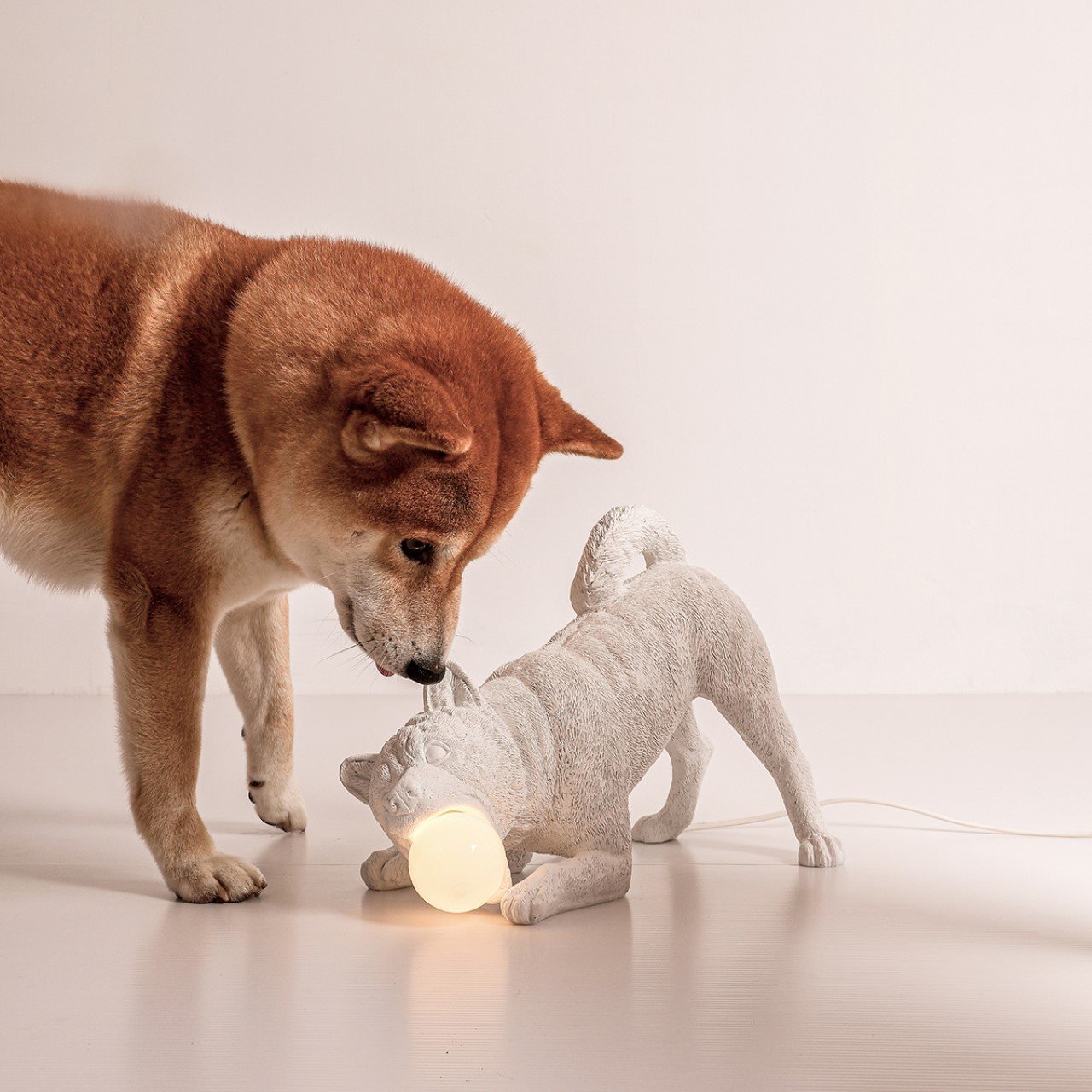 Practical design，Decoration design，product design，Minimalism，resin，3D printing，Playful Dog X Lamp，Emotional design，