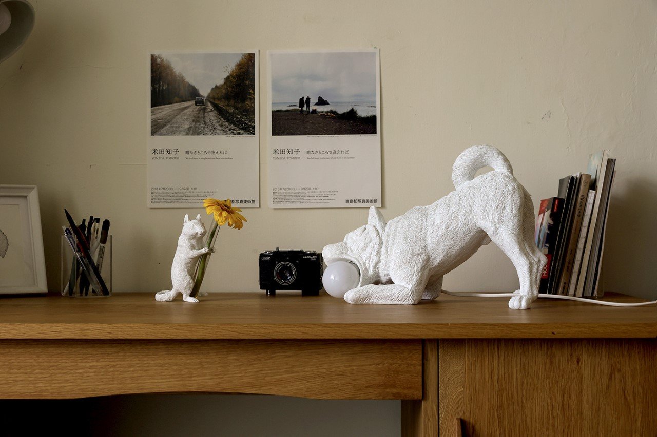 Practical design，Decoration design，product design，Minimalism，resin，3D printing，Playful Dog X Lamp，Emotional design，