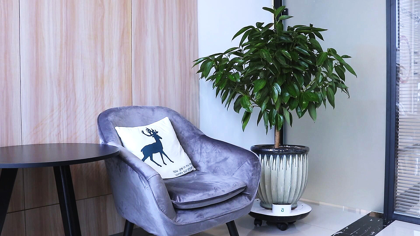Intelligent flowerpot，Smart home，Maintenance products，Appearance design，electronic product，Consumer electronics，Digital intelligence，Household products，