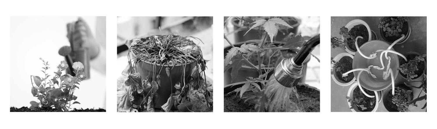 Intelligent flowerpot，Smart home，Maintenance products，Appearance design，electronic product，Consumer electronics，Digital intelligence，Household products，