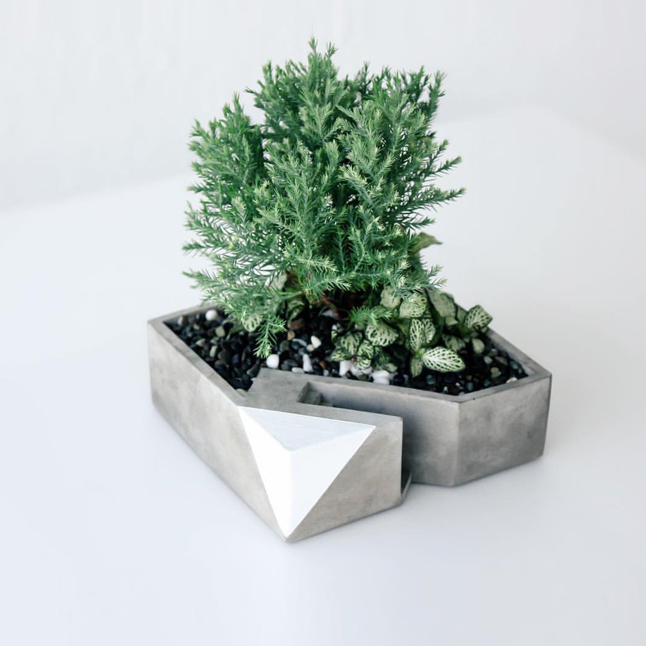 christmas tree，Interior design，tree，Christmas tree design，