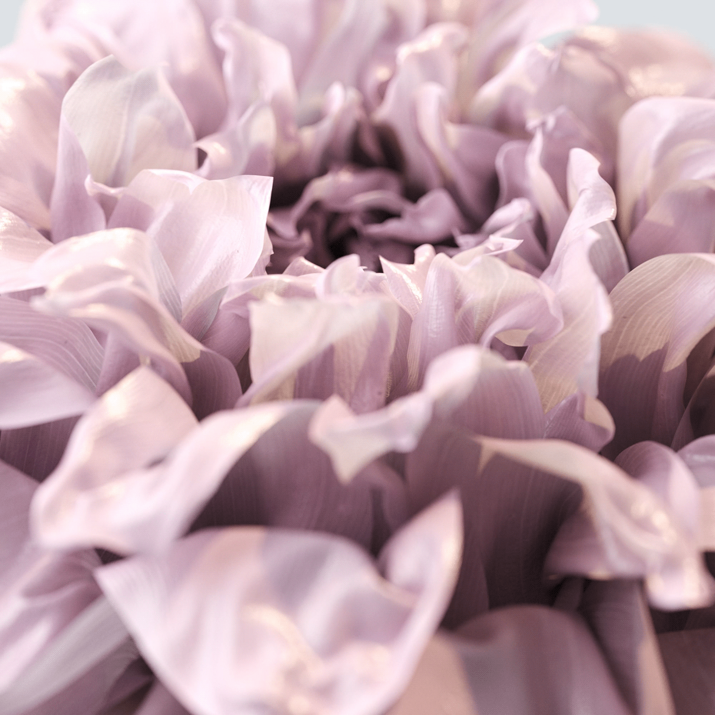 3D animation，Motion design，product design，Dynamic graphics，graphic design ，3d，