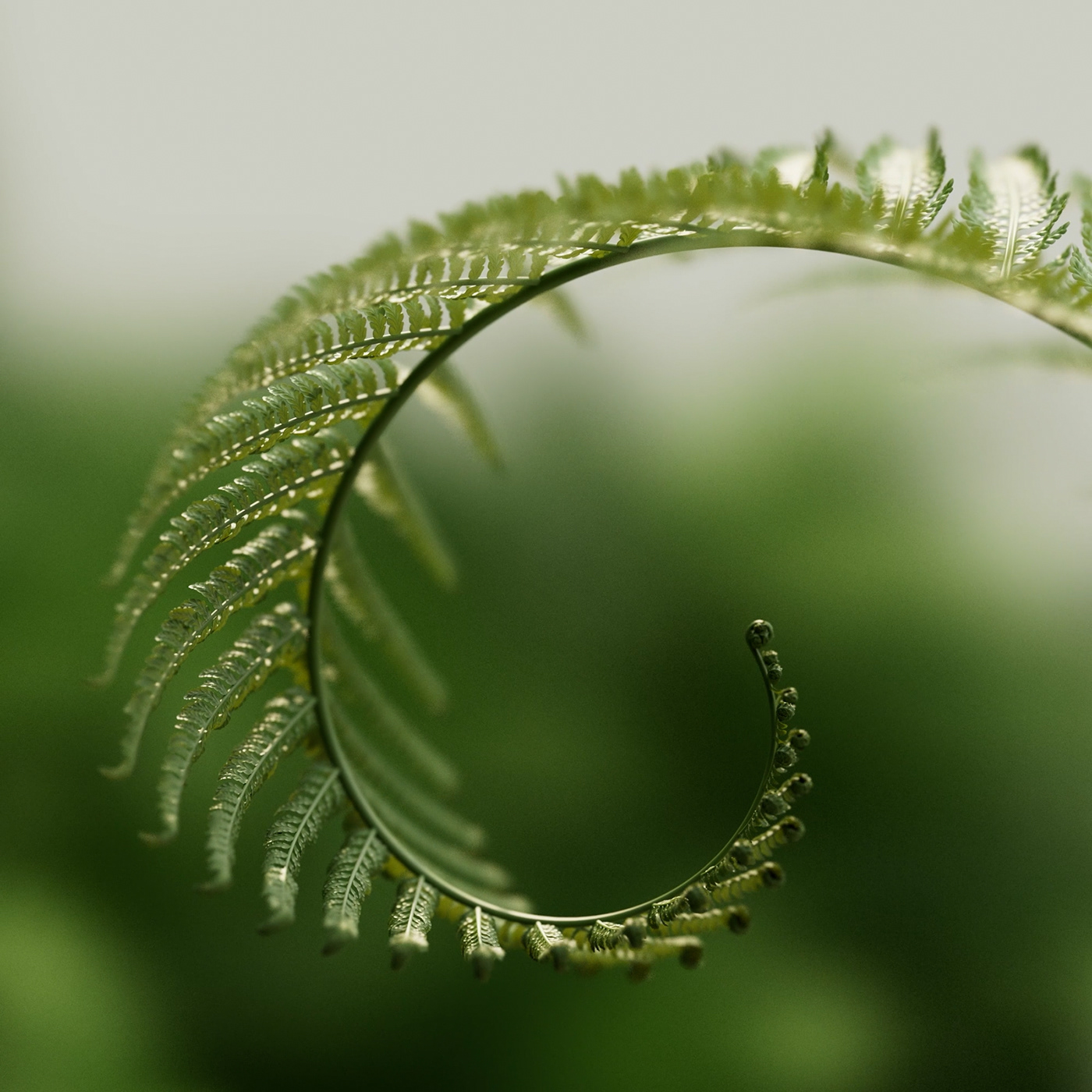 3D animation，Motion design，product design，Dynamic graphics，graphic design ，3d，