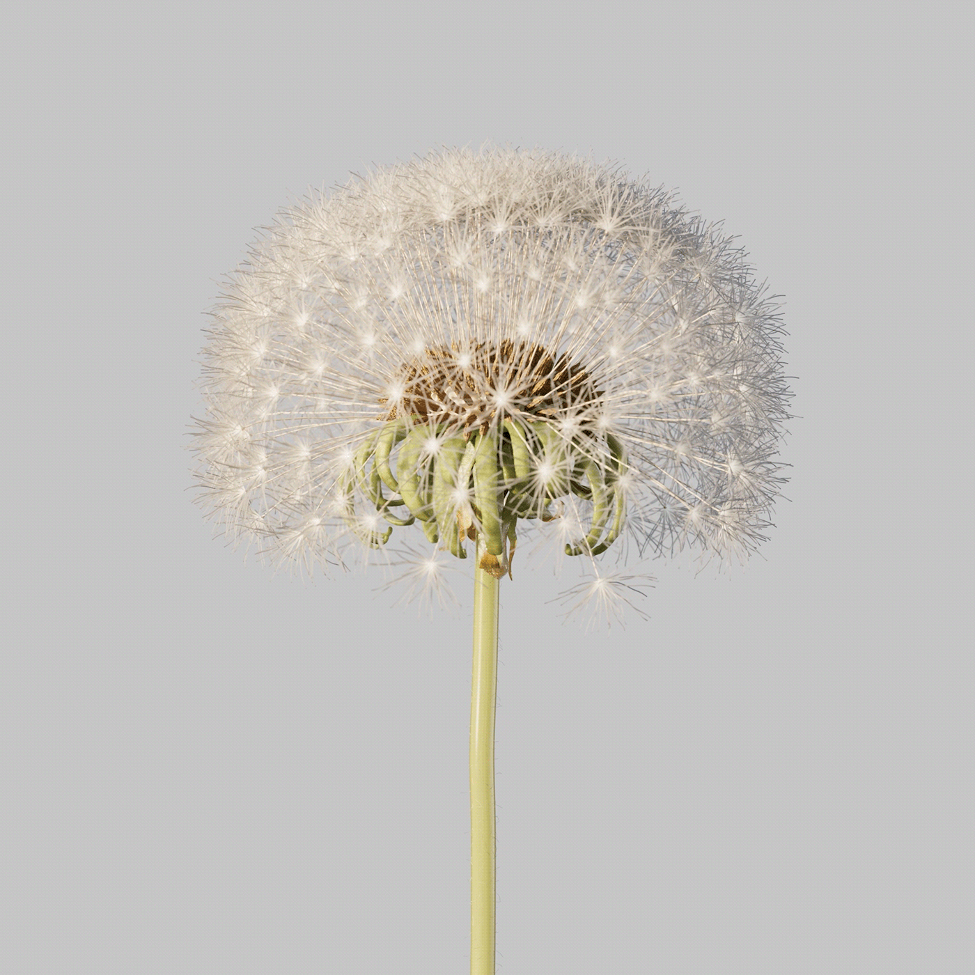 3D animation，Motion design，product design，Dynamic graphics，graphic design ，3d，