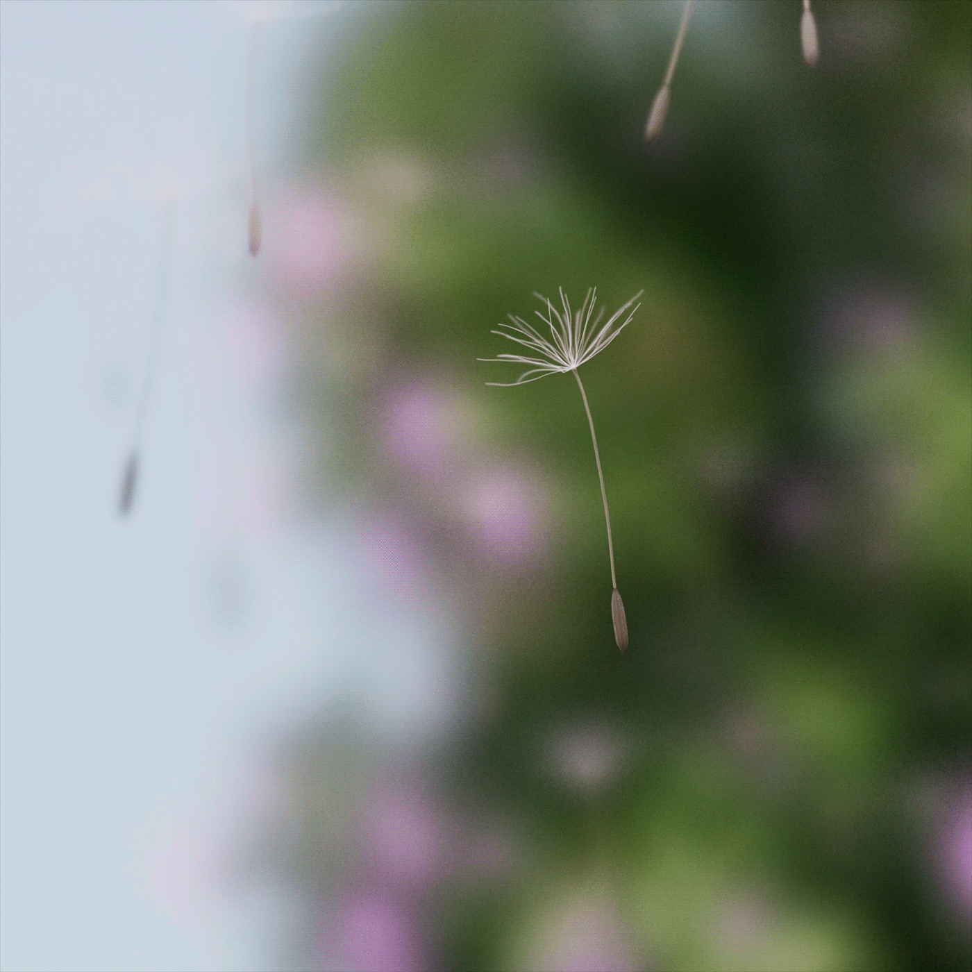 3D animation，Motion design，product design，Dynamic graphics，graphic design ，3d，