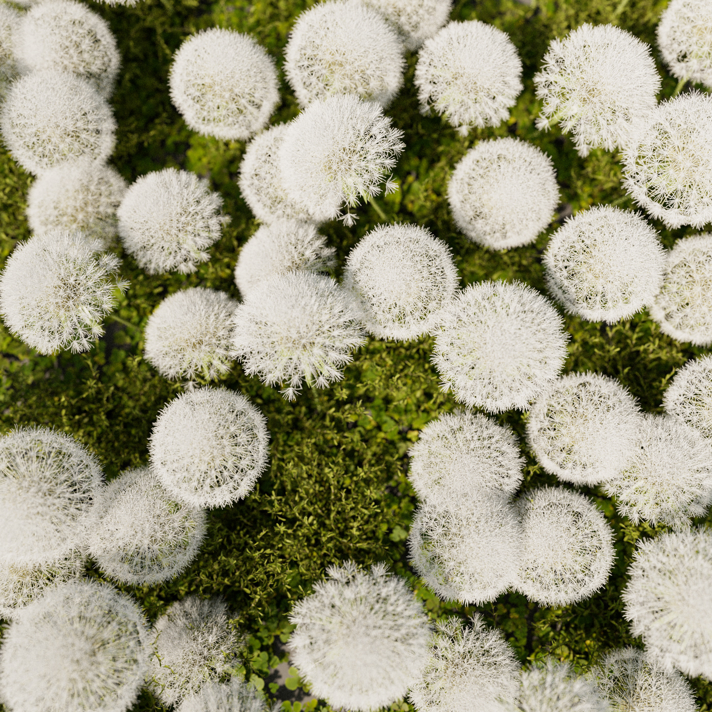 3D animation，Motion design，product design，Dynamic graphics，graphic design ，3d，