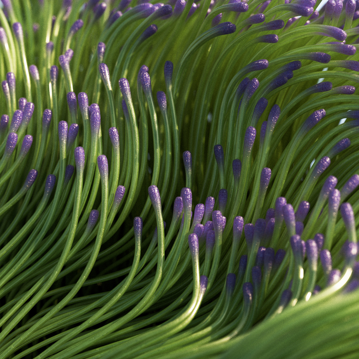 3D animation，Motion design，product design，Dynamic graphics，graphic design ，3d，