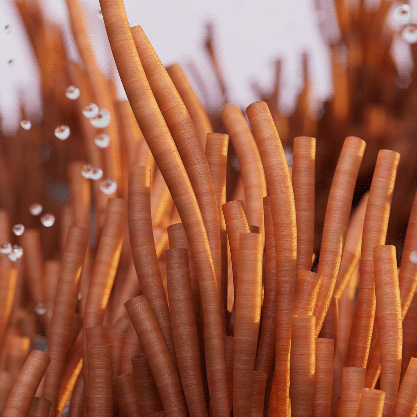 3D animation，Motion design，product design，Dynamic graphics，graphic design ，3d，