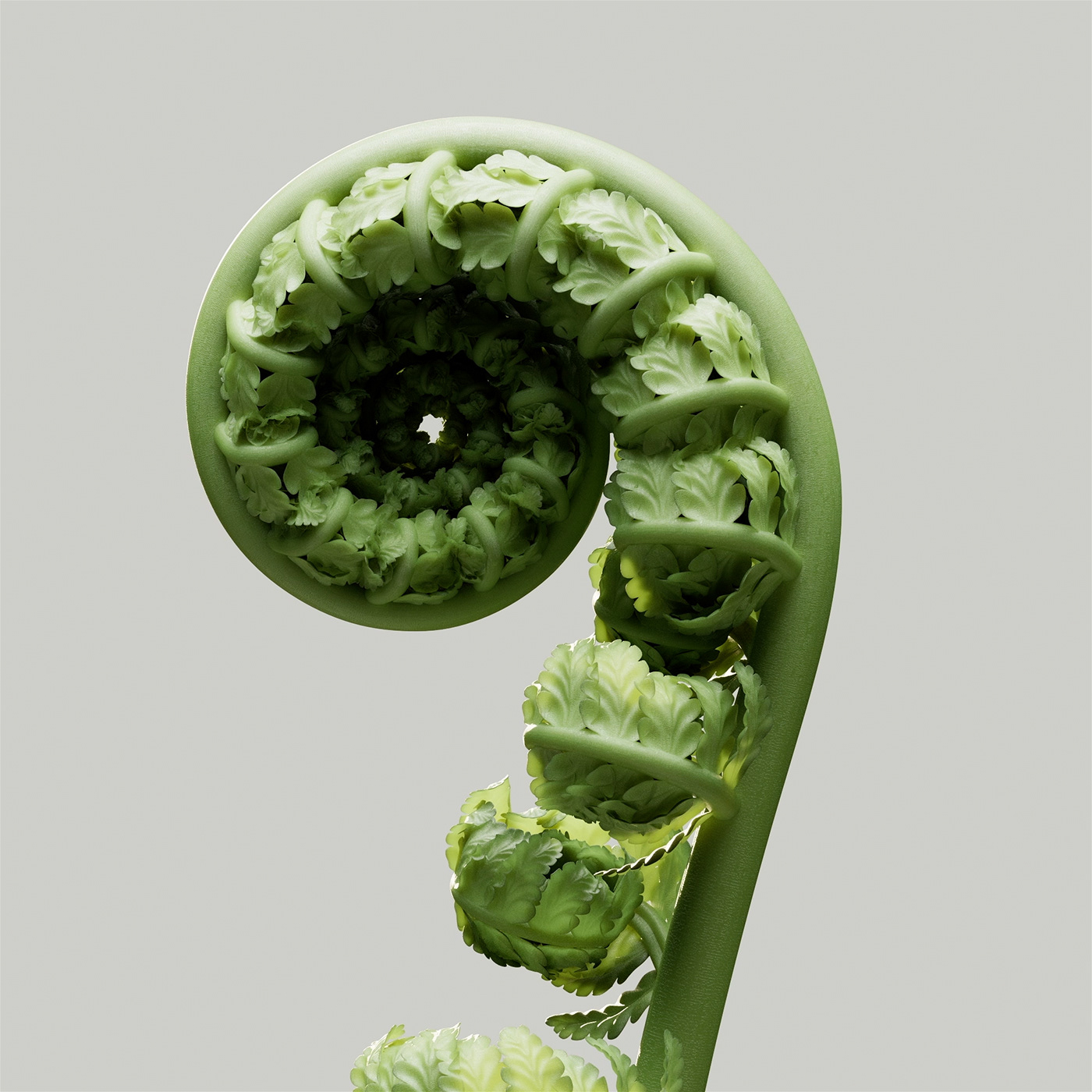 3D animation，Motion design，product design，Dynamic graphics，graphic design ，3d，