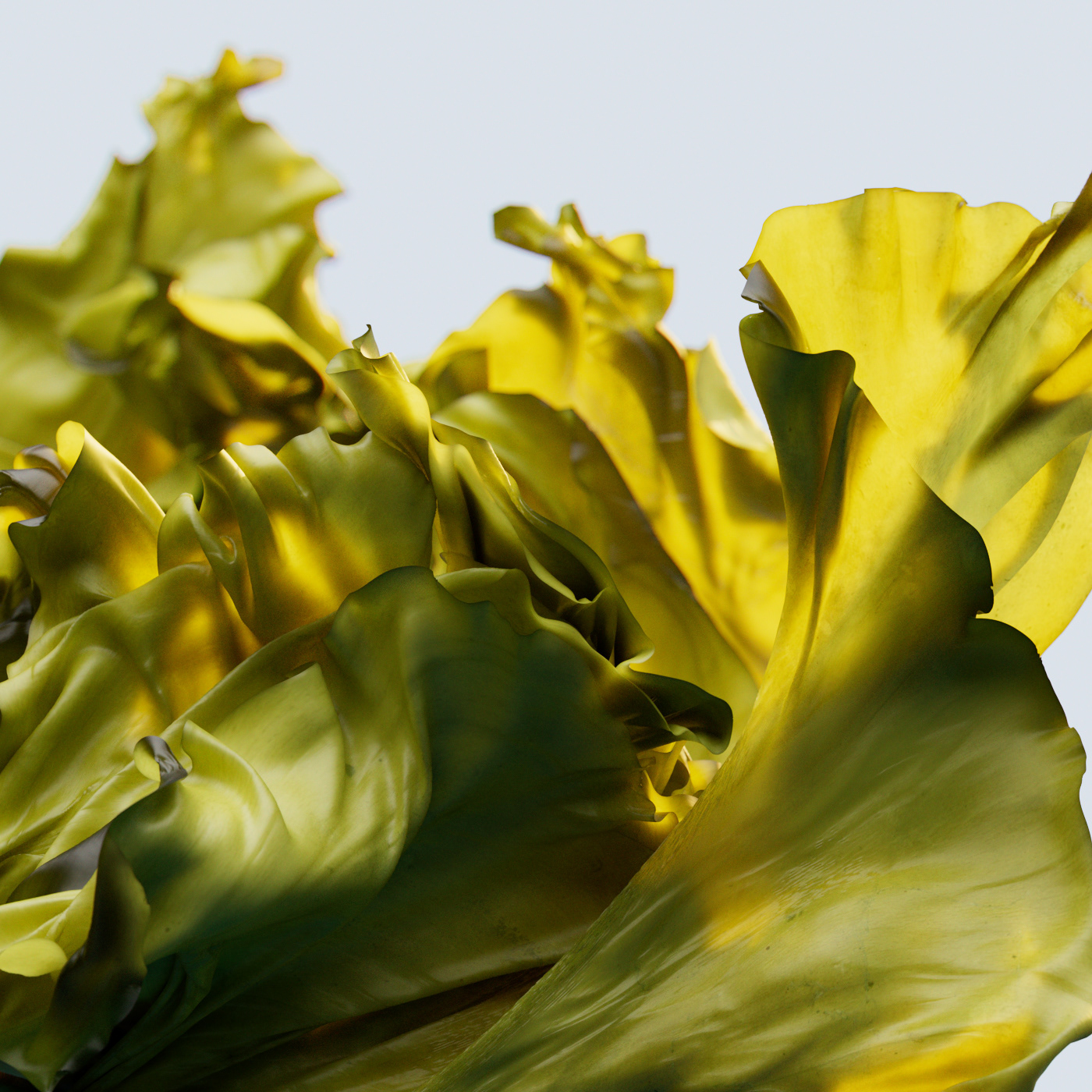 3D animation，Motion design，product design，Dynamic graphics，graphic design ，3d，