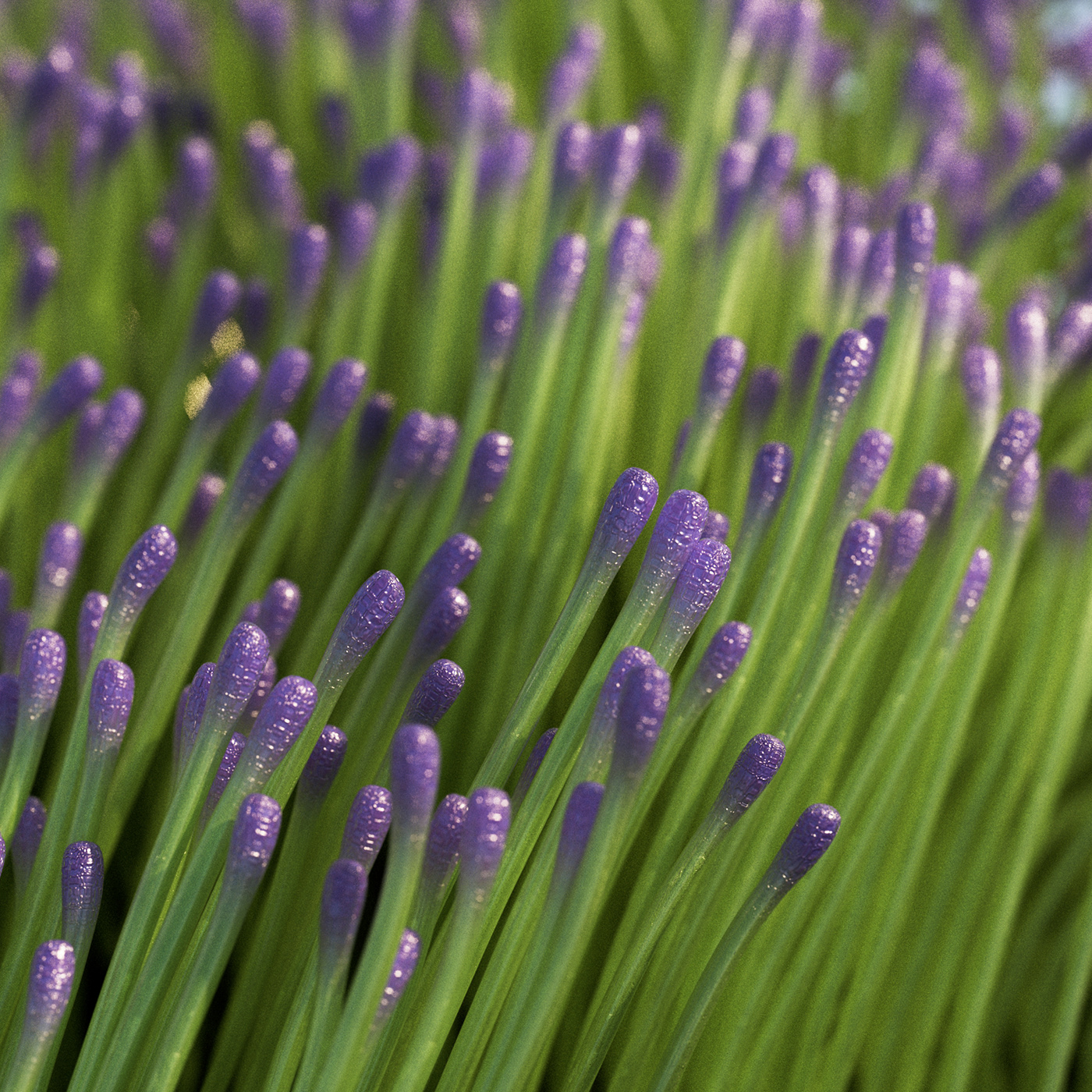 3D animation，Motion design，product design，Dynamic graphics，graphic design ，3d，