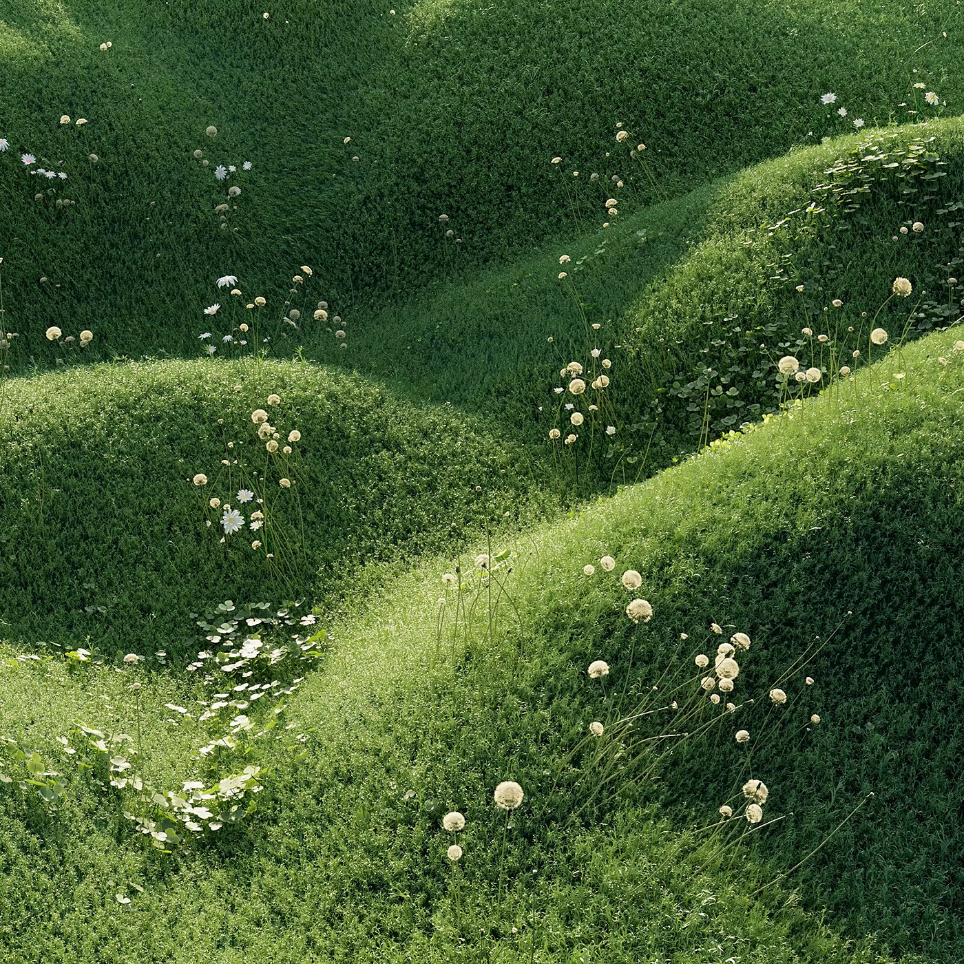 3D animation，Motion design，product design，Dynamic graphics，graphic design ，3d，